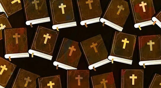 Bibles, workbooks, and ‘The Plague’: Meet the pandemic’s bestselling books